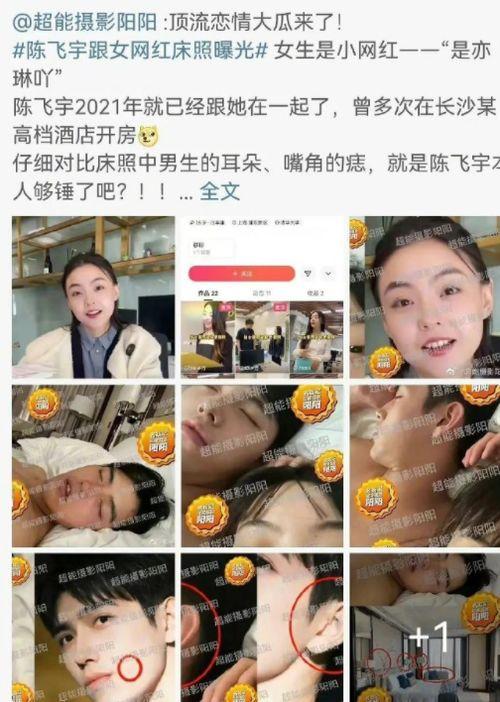 记者爆料陈飞宇视频完整版,记者爆料背后的真相与细节